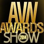 Avn awards 2014.jpg