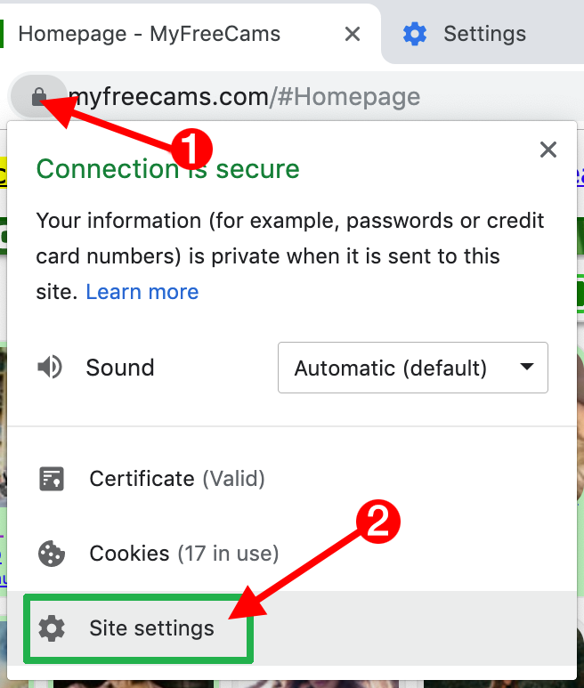 Chrome 76 site settings.png